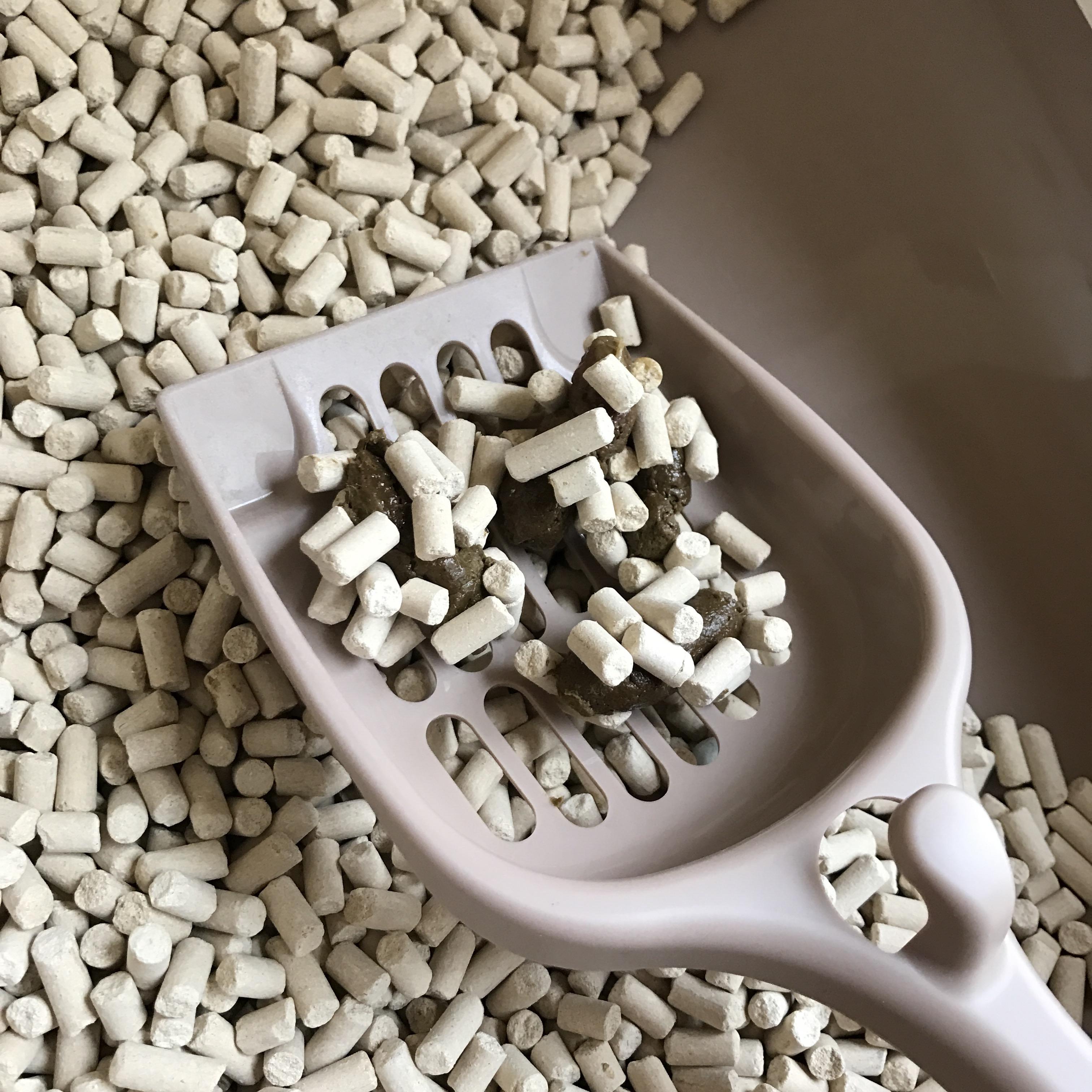 有没有什么好的猫砂可以推荐一下么? - Trevor