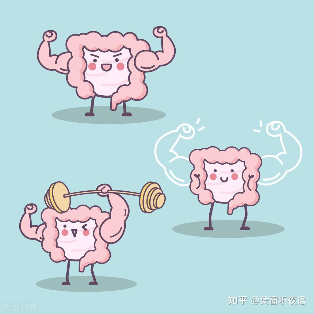 如何正确的使用益生菌