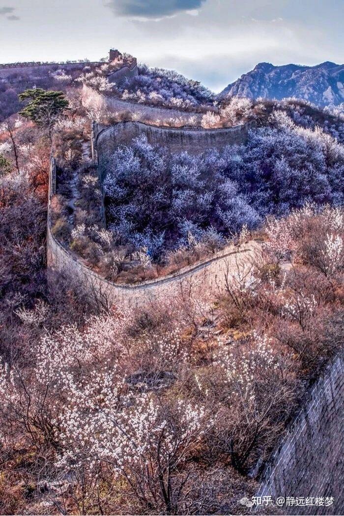 《长城国家文化公园向桃花诉说》 作词:申卫东