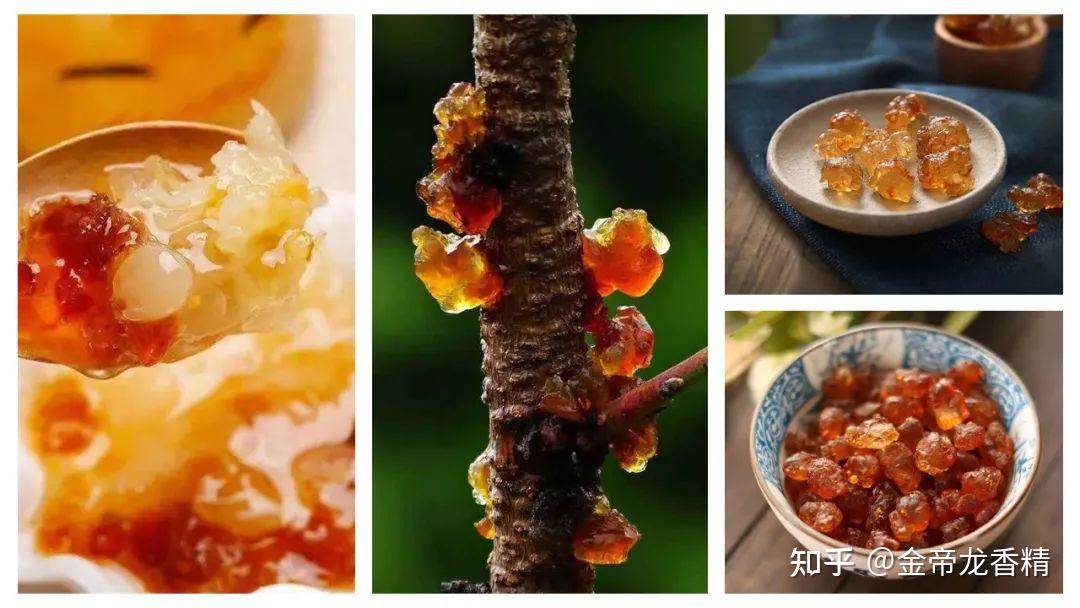 香精与香料(173)—桃胶 - 知乎