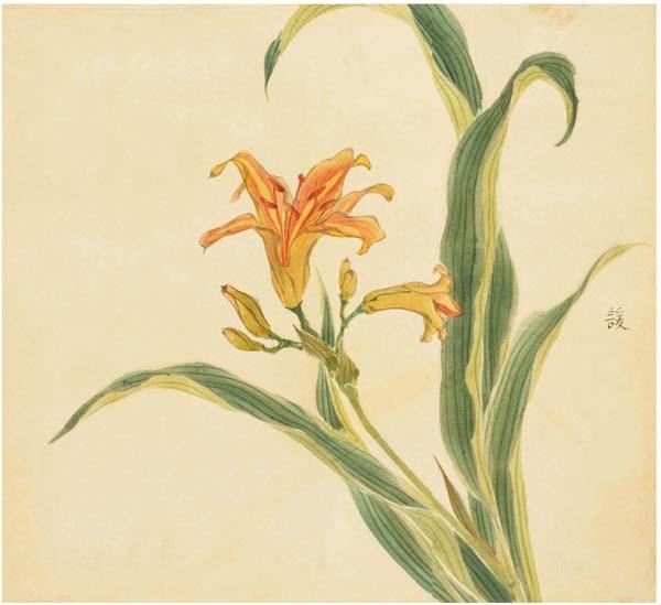 《诗经》里87种唯美植物，你知道它们长什么样吗? - 知乎