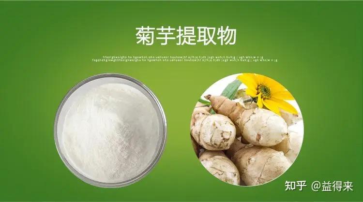 震惊菊芋竟然被这么多世界权威组织认可