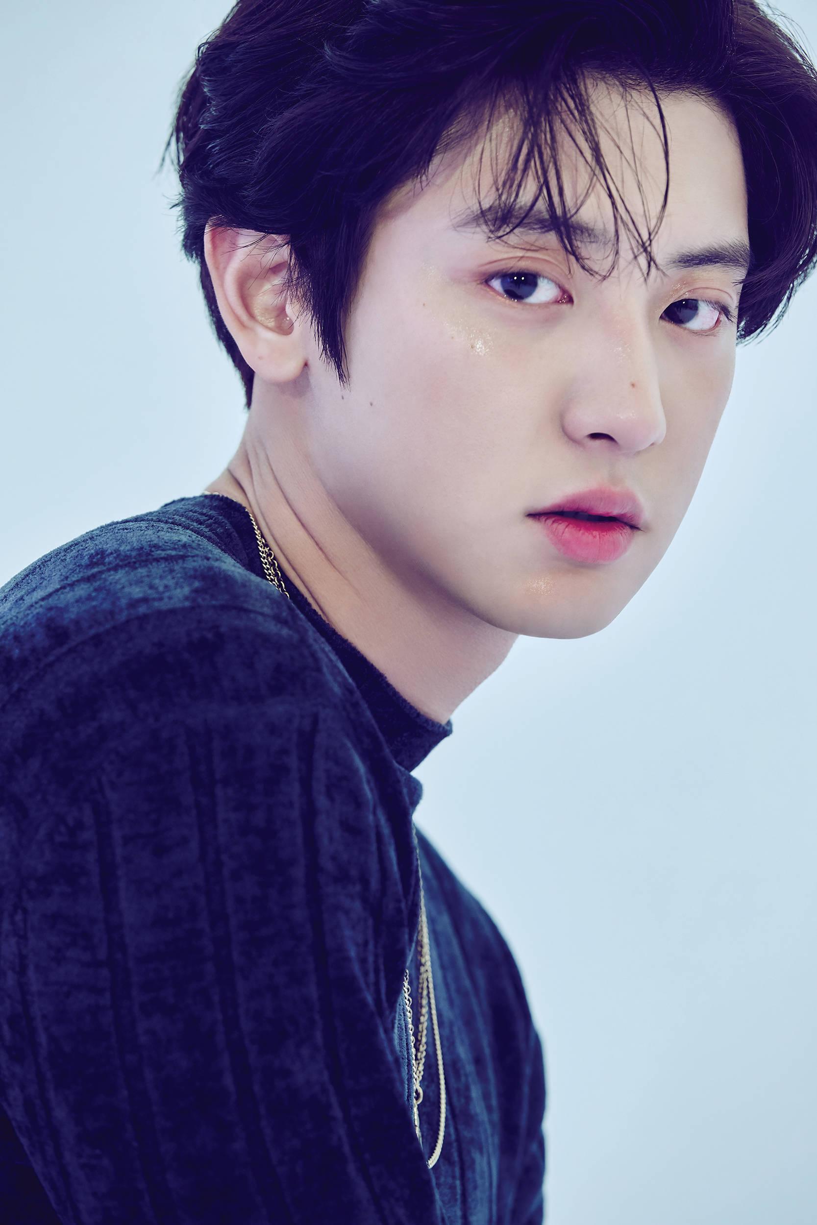 热门明星朴灿烈 知乎 热门明星朴灿烈 知乎