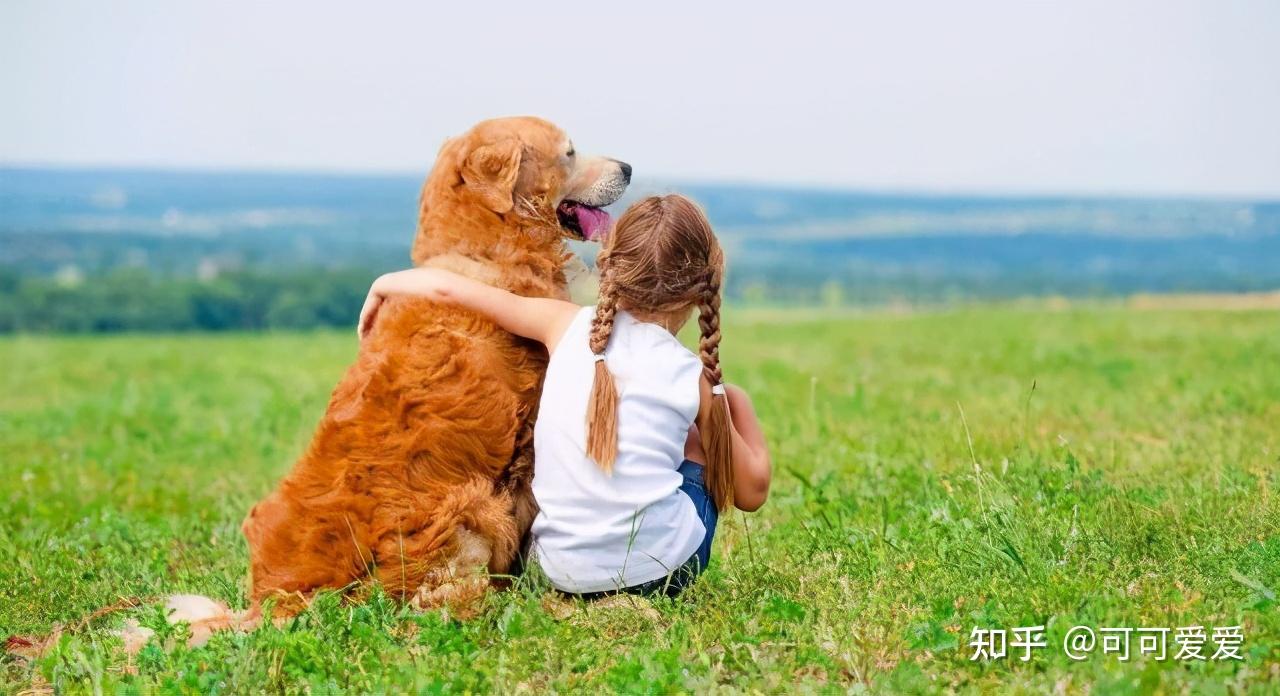 二,家里多了一个陪伴