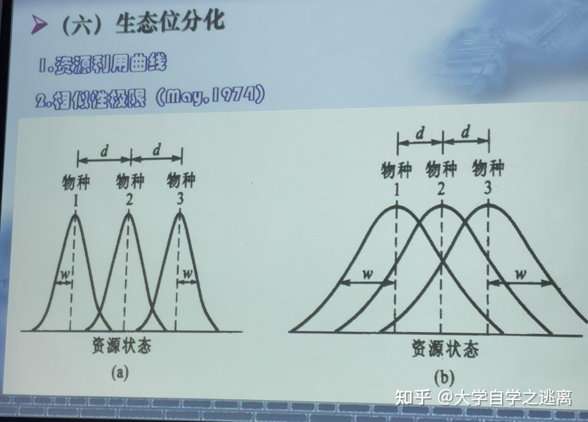 种间竞争的图像图片