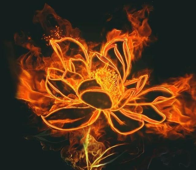 睡梦瑜伽之火莲入梦法