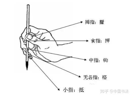 D G不懂筷子 更不懂毛笔丨兰亭直播 知乎