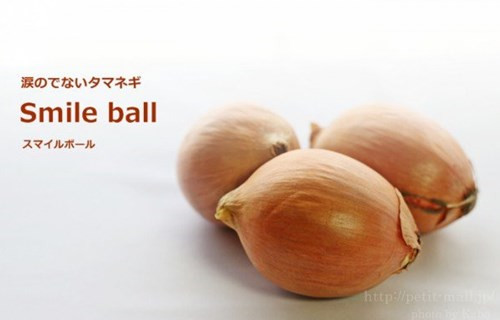 v2-3d0191f9f6b8d44025c83c2289997915_r.jpg
