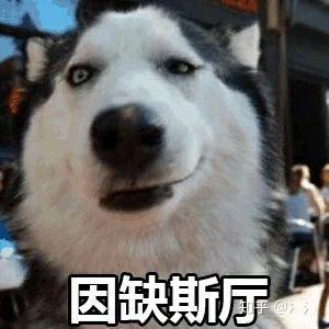 v2-3d07a695750597cb209ffea143c68995_b.jpg