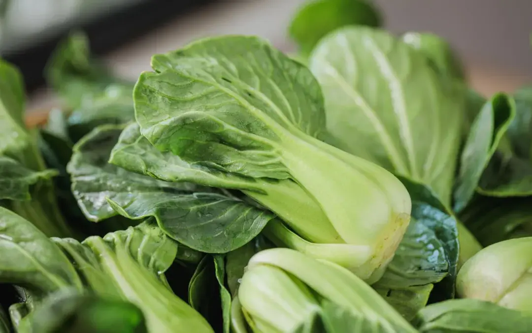 霜降后最被低估的菜软糯微甜解毒消肿