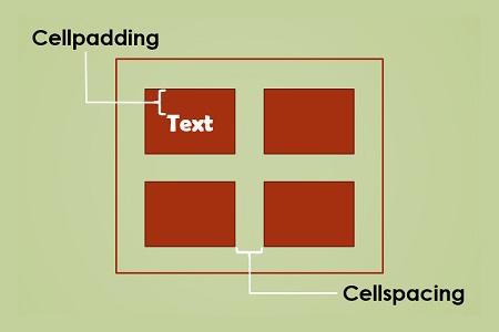 cellpadding图片