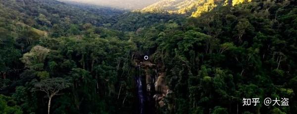 森万里子|灵性的边限 知乎