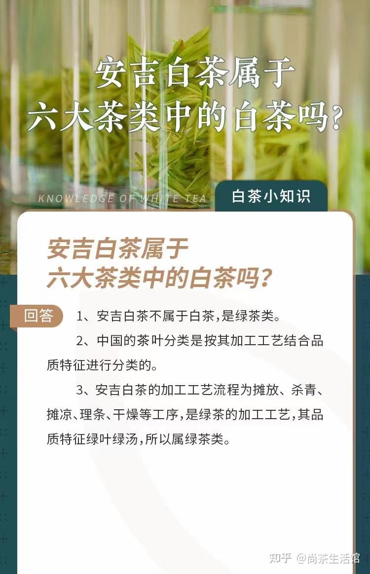 安吉白茶属于六大茶类中的白茶吗