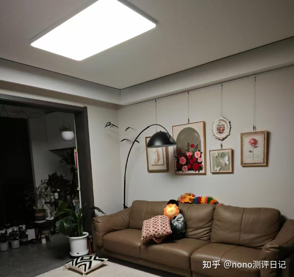 2025年吸顶灯怎么选?有没有护眼又好用的吸顶灯推荐?双十一快到了还不知道买哪款?实测雷士、霍尼韦尔、lipro三大品牌热门产品,一文告诉你最 ...