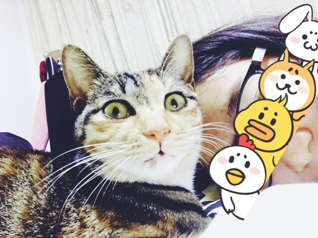 和猫一起睡觉是怎样的体验?