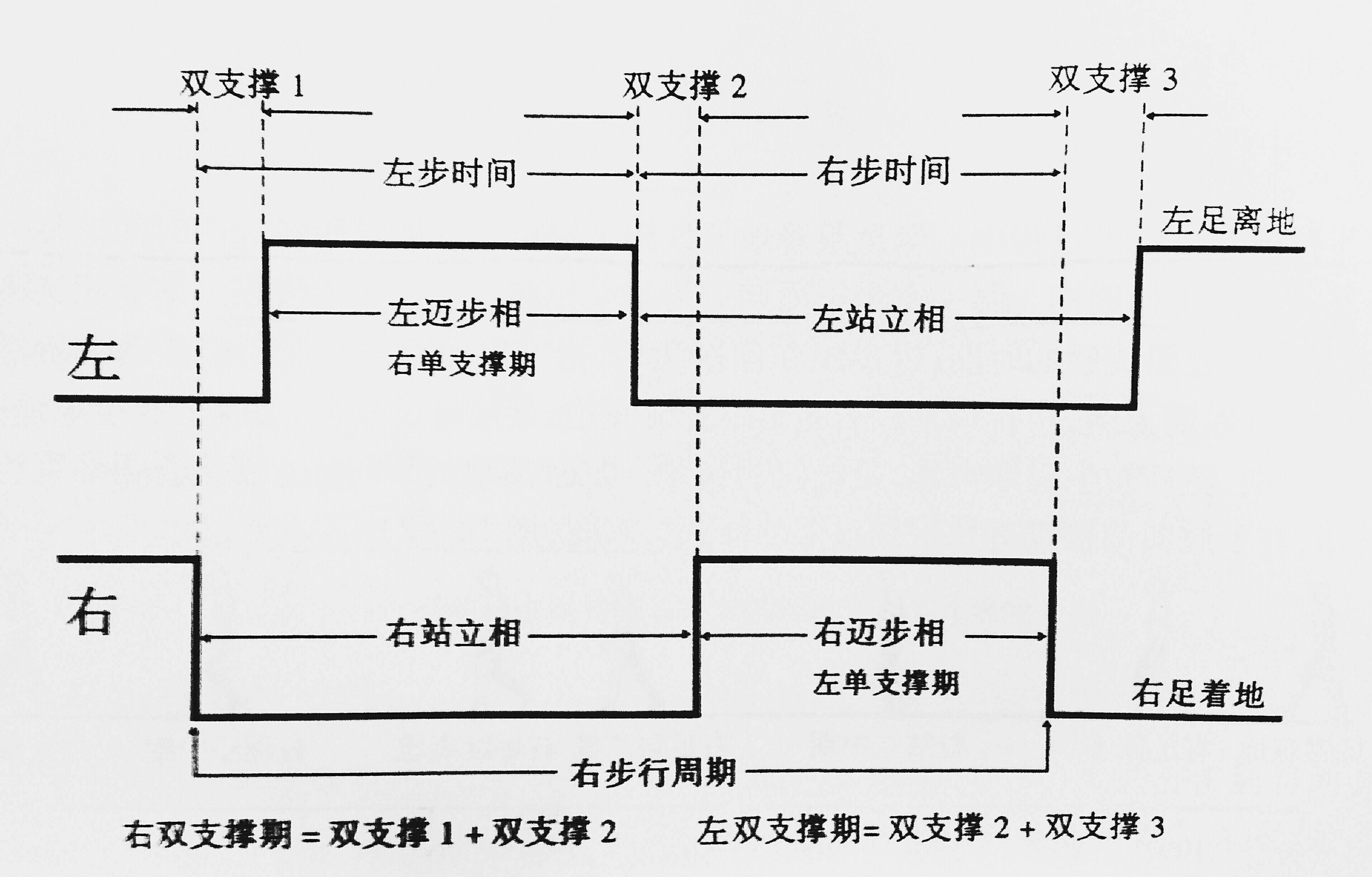 步态分析图解图片