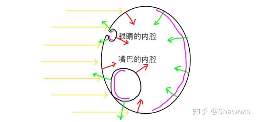图形学 - 关于法线那些事 - 知乎