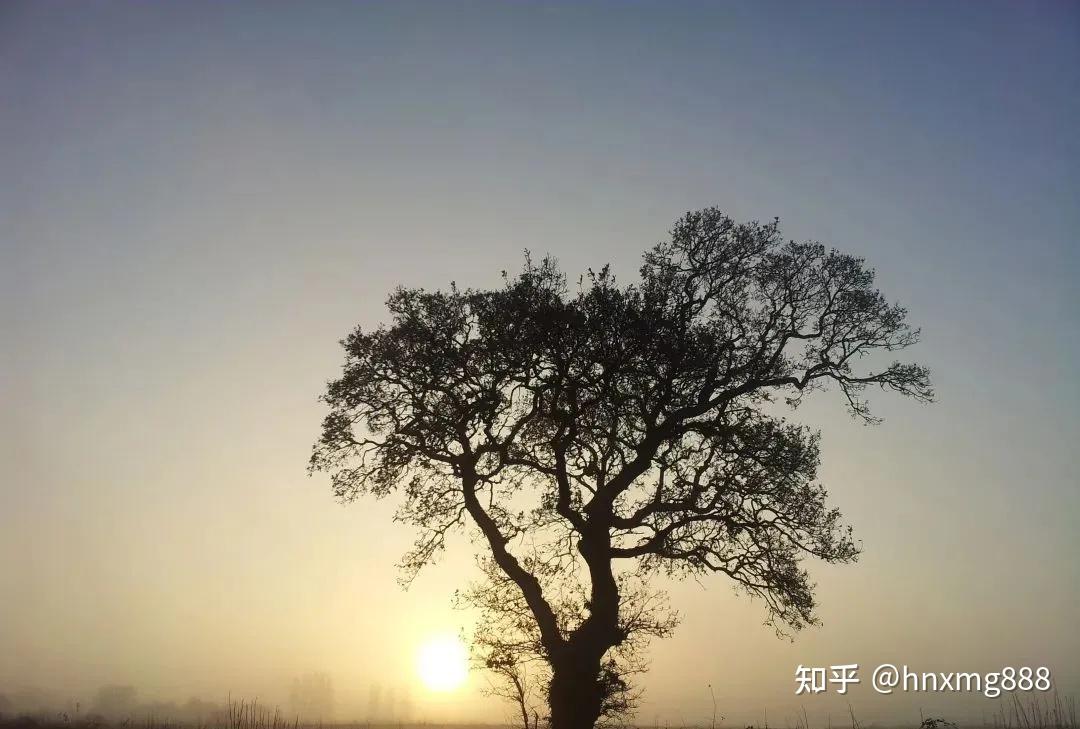 高情商聊天开场白三月份,三月，春暖花开，正是与他人展开愉快对话的时刻。以下是一些高情商的聊天开场白，希望能为您的社交生活增添更多色彩。