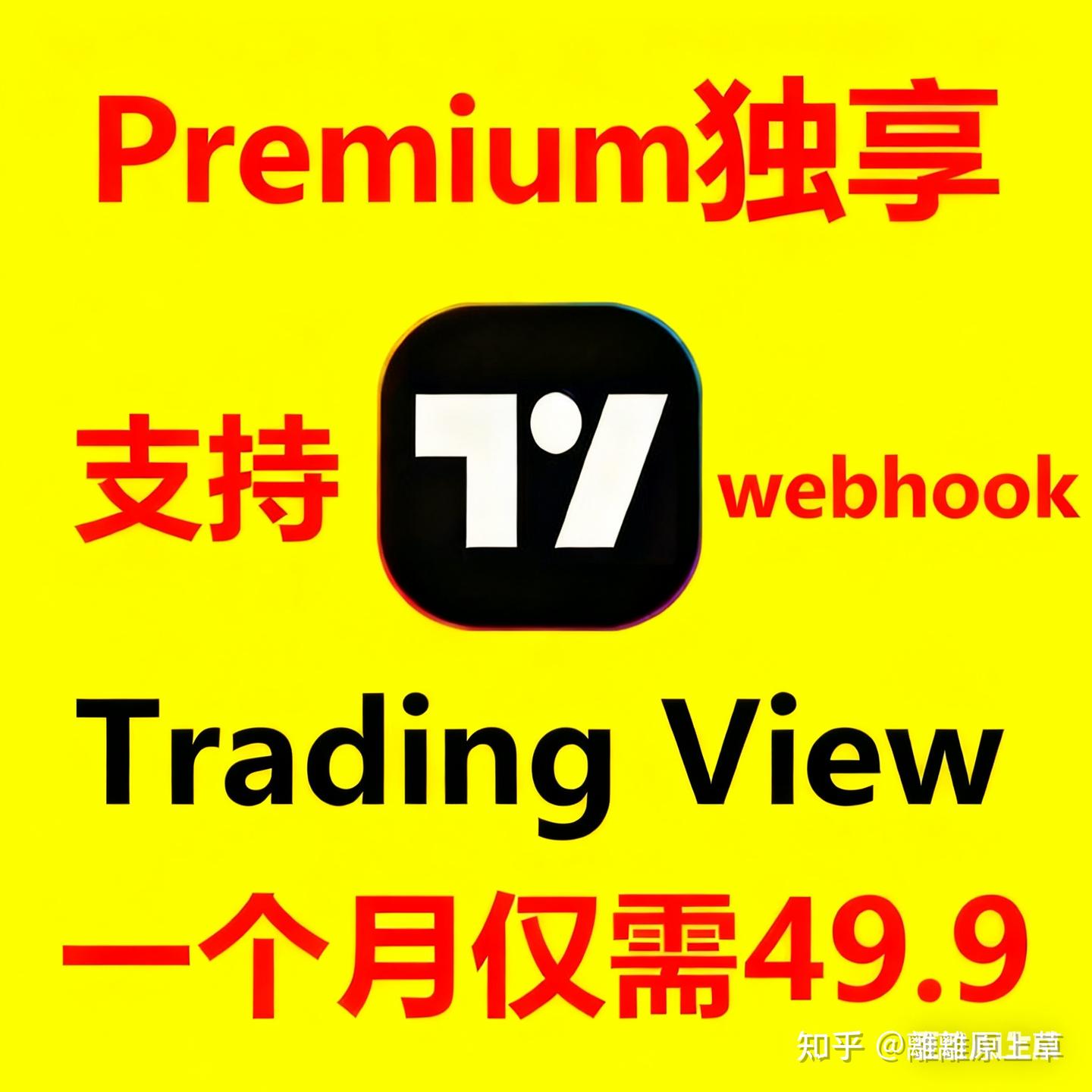 TradingView 会员怎么买才不亏？2025 最新攻略+ 避坑指南- 知乎