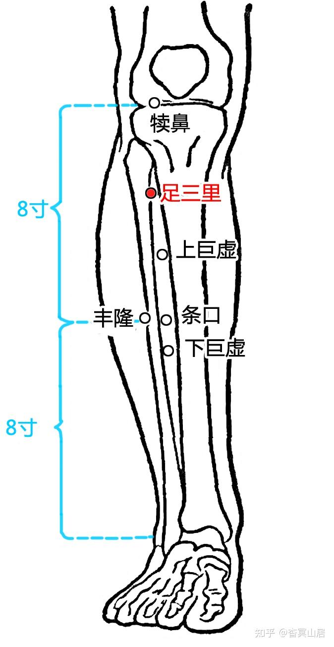 丘虚穴 丘墟与申脉紧接