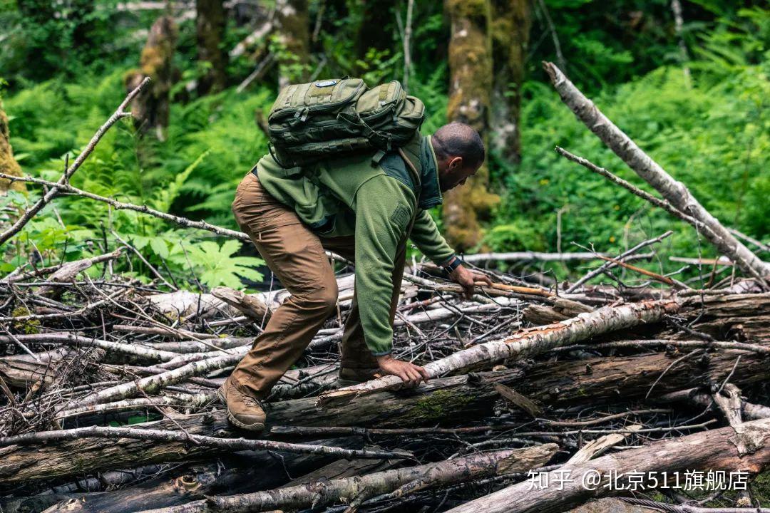 远征军魂断野人山不为人知的原因 - 知乎