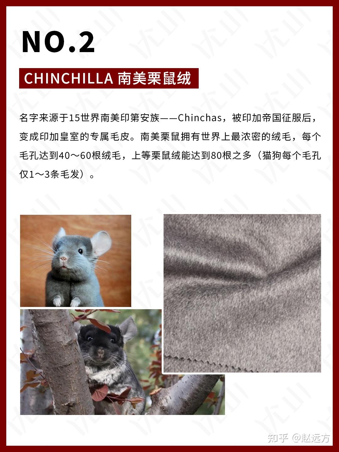 十大奢华面料,羊绒垫底 - 知乎
