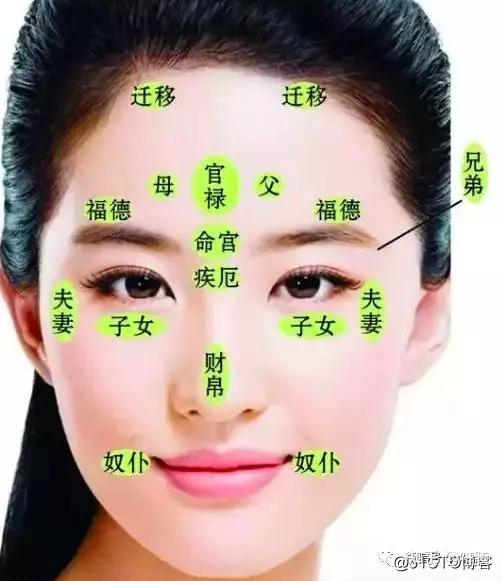 面相- 知乎