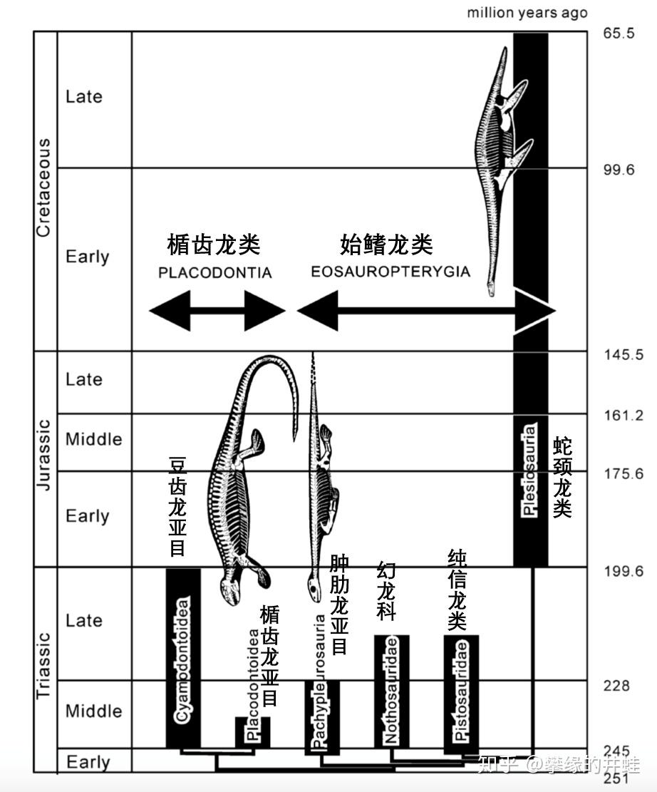 【地球演义】中生代-三叠纪-城头变幻大王旗(下) - 知乎