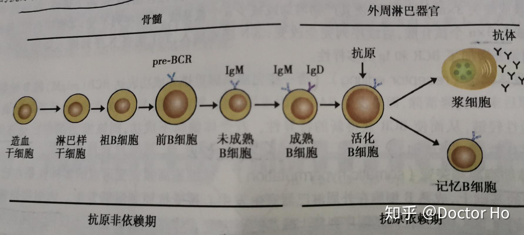 第九章