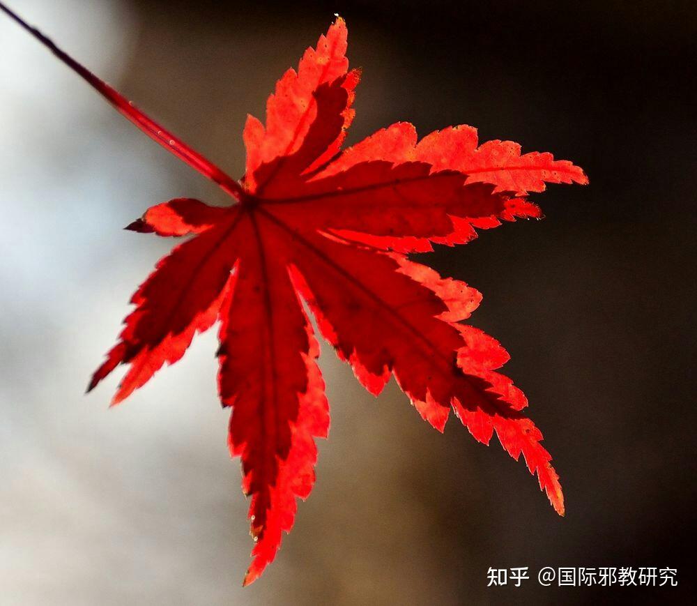 中国无神论史连载34唐代皇帝的封神和文武神祇系统的建立