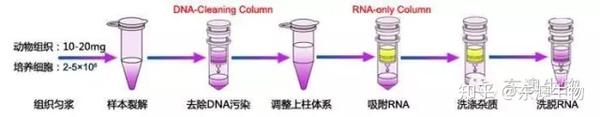 知乎专栏