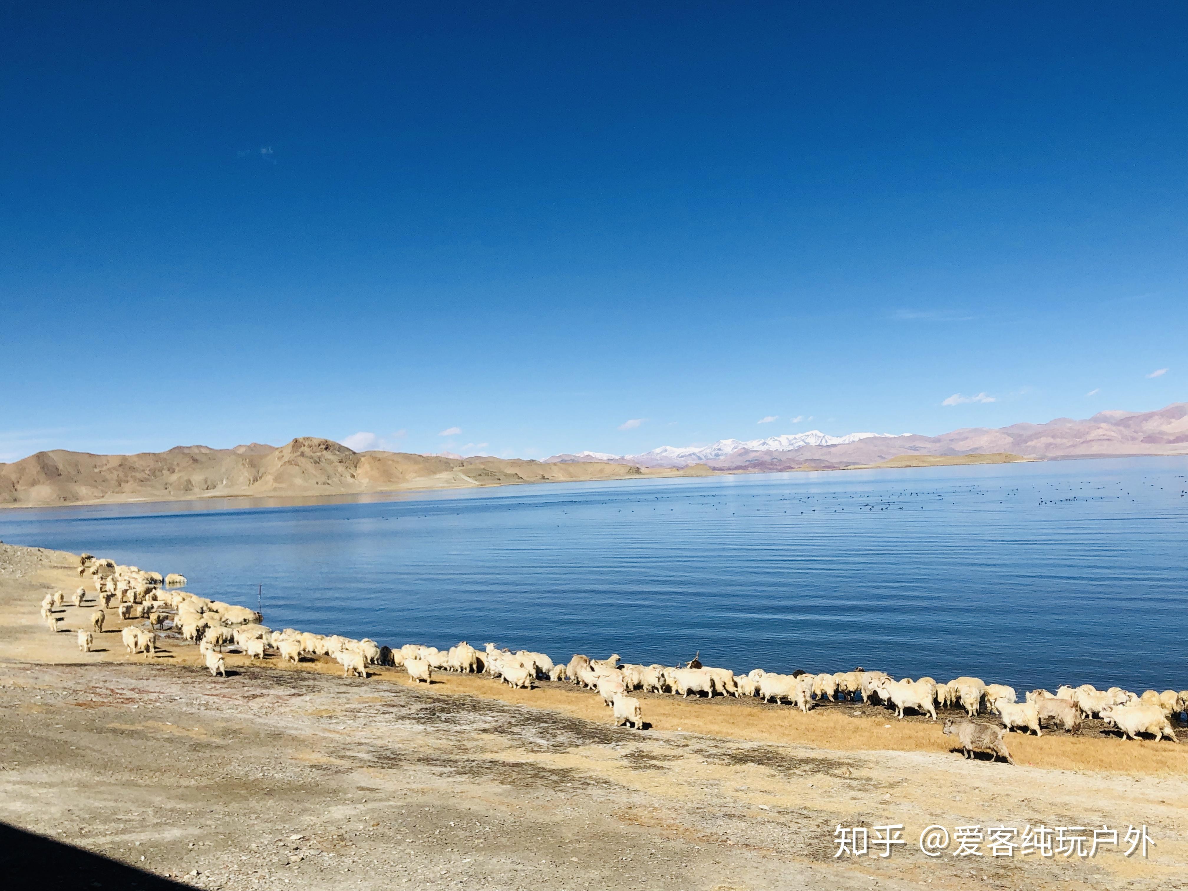 去西藏阿里旅行,出行前必须做哪些准备?