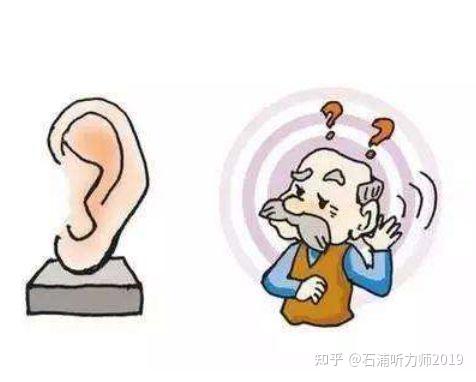 为什么老年人听得到声音,却听不清、听不懂? - 知乎