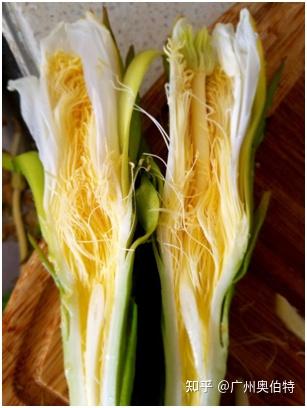 霸王花功效如何 还有8成的不知道是什么 知乎