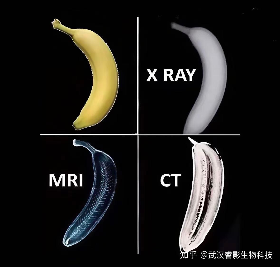 科研神器揭秘:Micro-CT轻松实现显微级无损成像 - 知乎