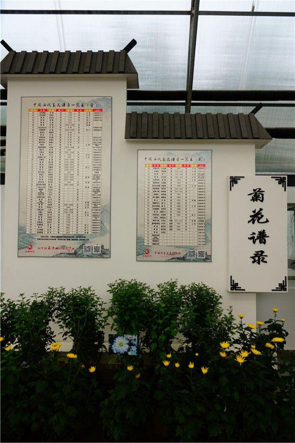 菊文化馆以下:书画展以上为概览,以下走进第二届中国香菊文化节现场