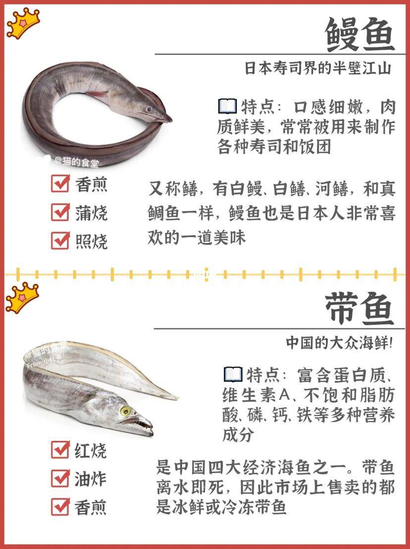 科普:海鱼种类 - 知乎