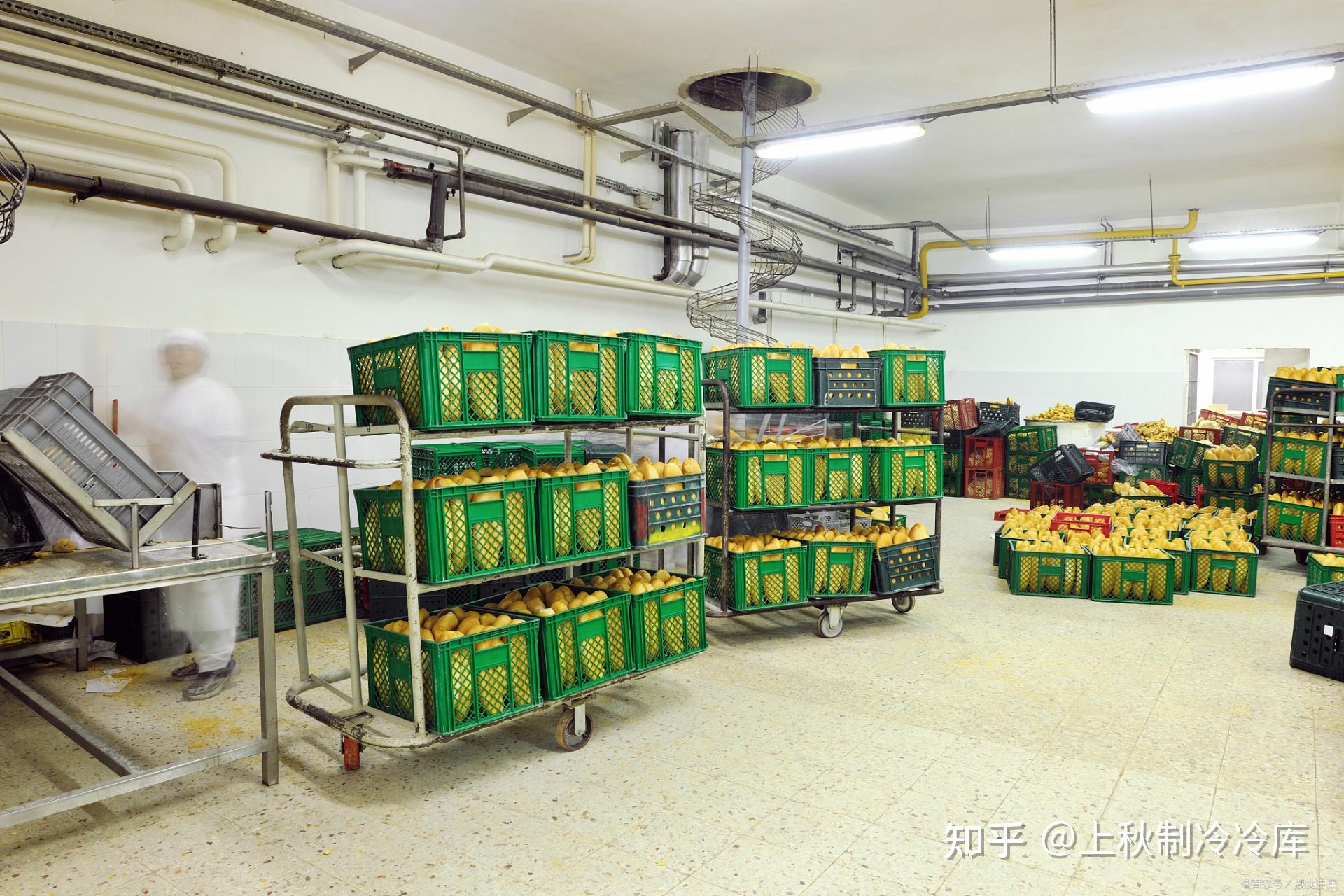 2025保鲜冷库造价曝光!大型冷库建设多少钱一平方? - 知乎