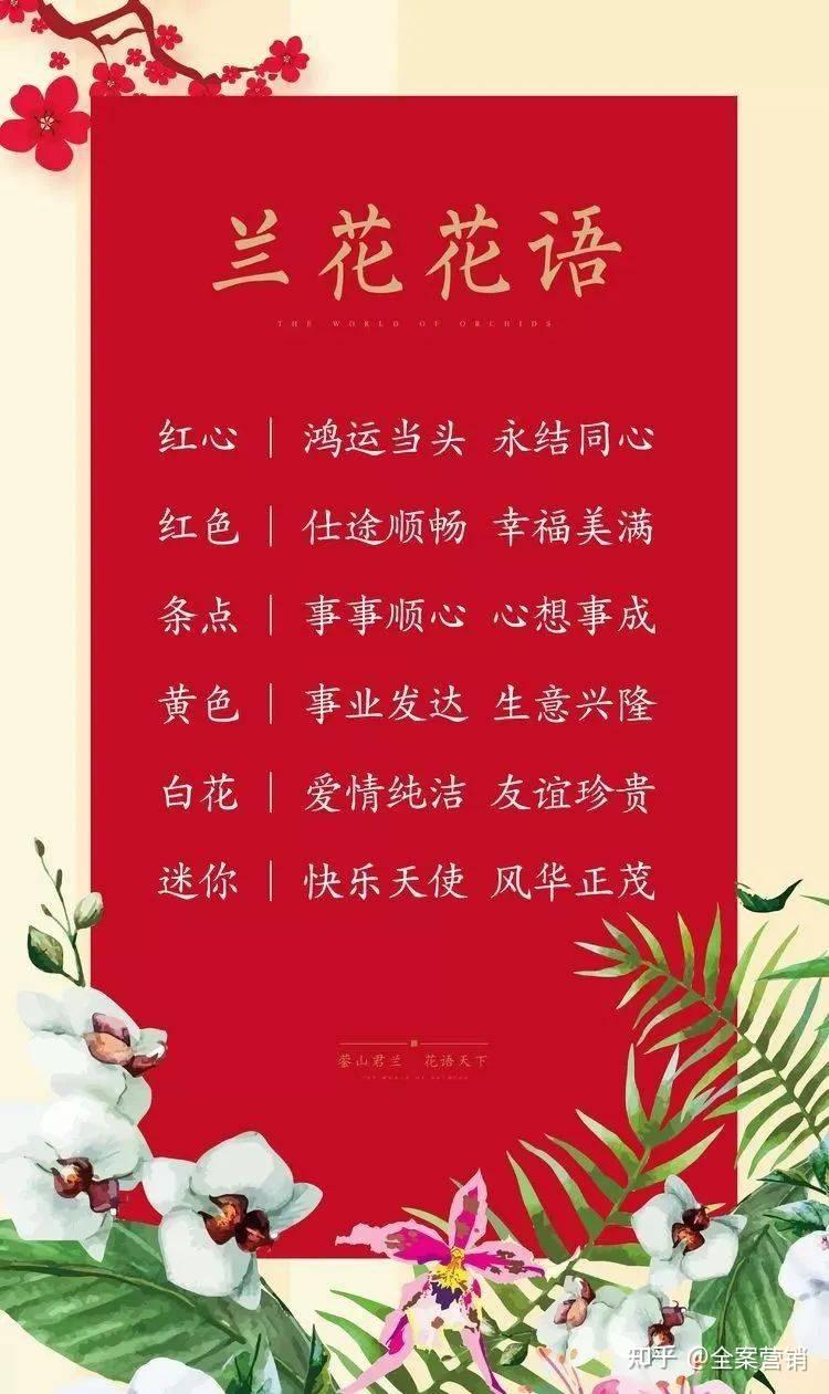 争创天府旅游名县|新年相聚华蓥的君兰天下,有趣又有味!