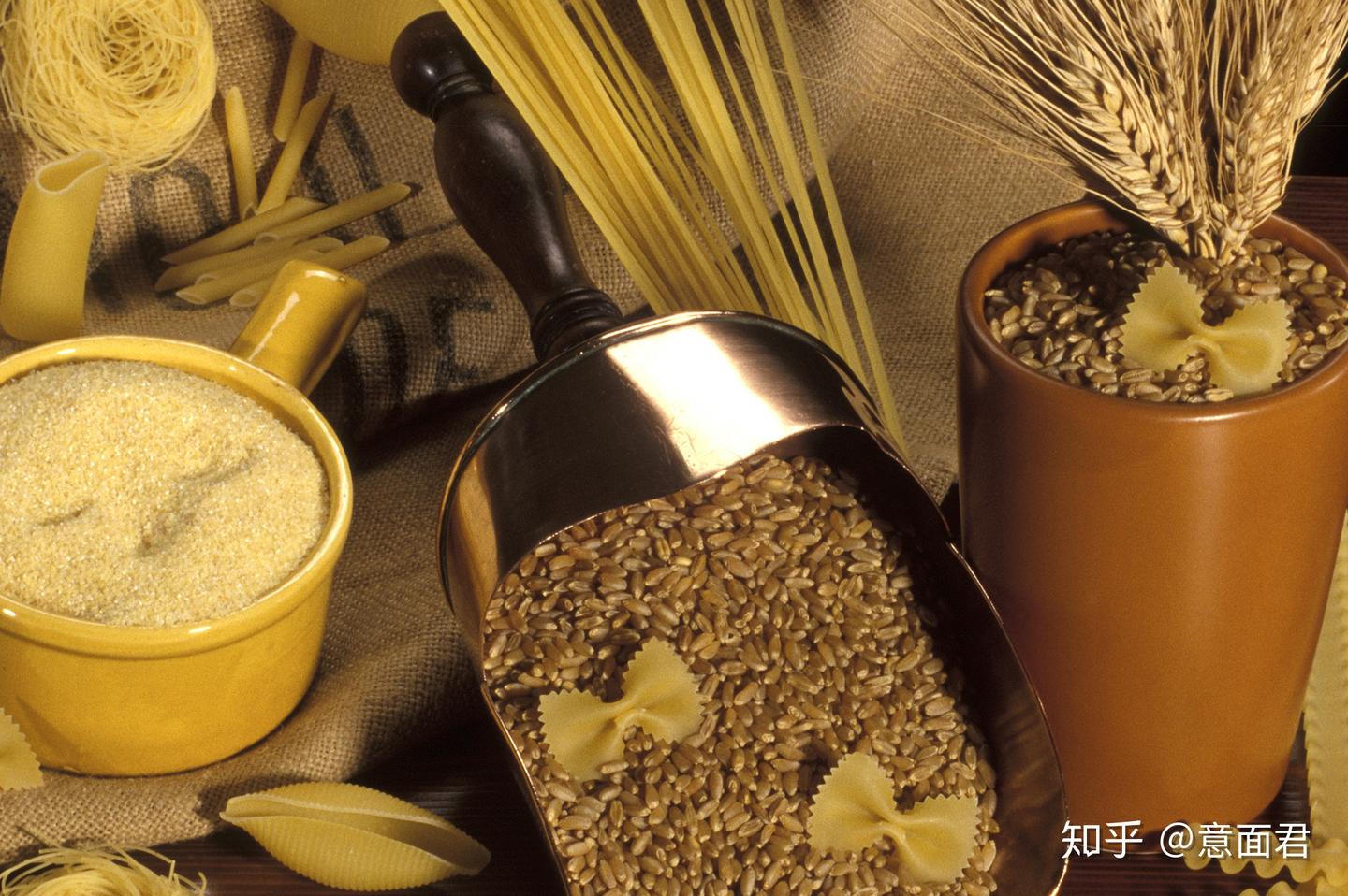 意面为什么那么硬？到底有没有营养？它究竟是用什么做的  ——一篇把“意面之谜”一次讲透的科普博客