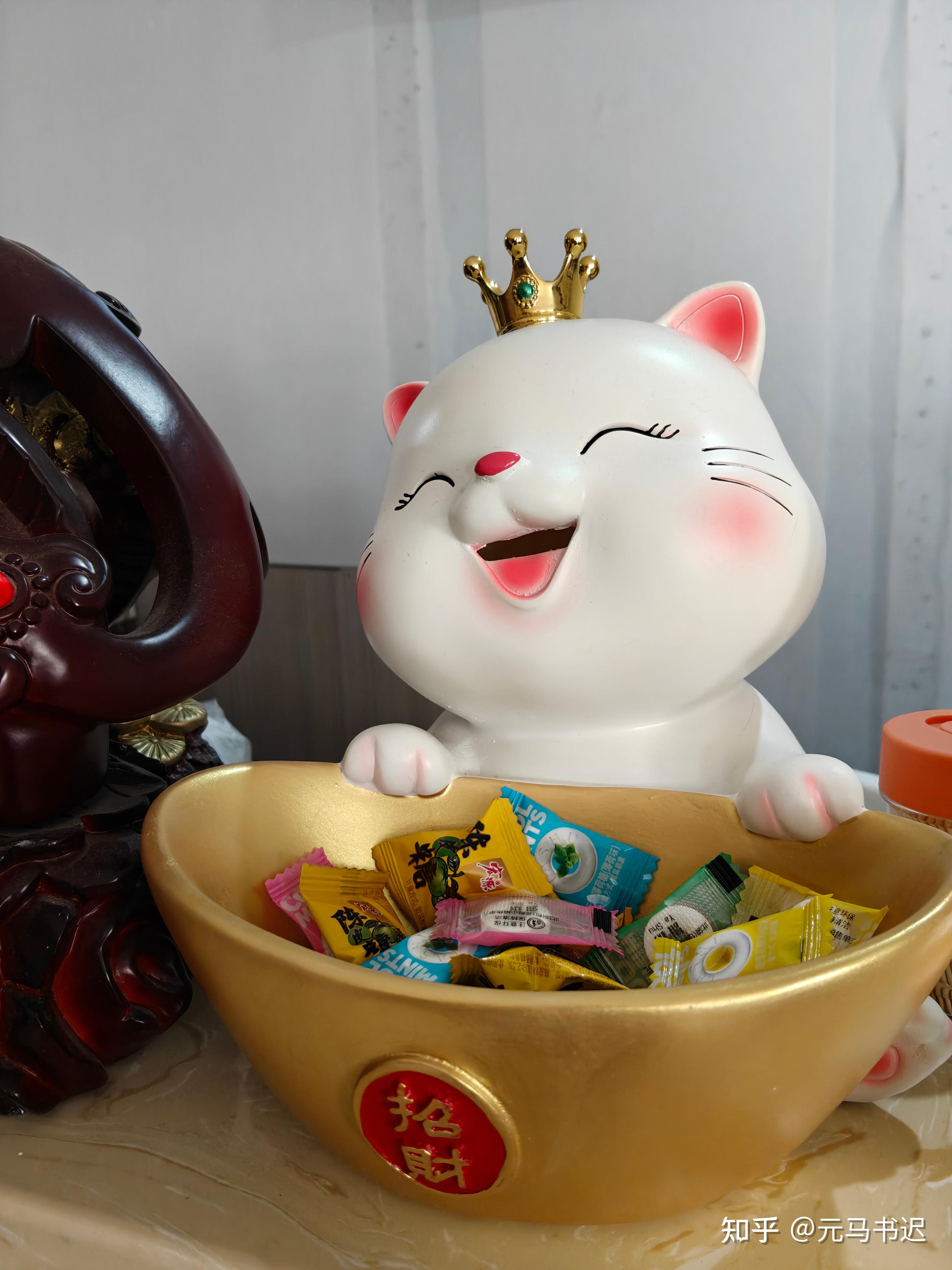 招财猫自个上门啦！ - 知乎