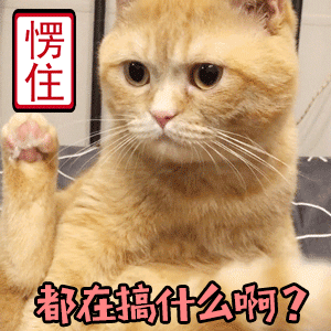 咪咕视频