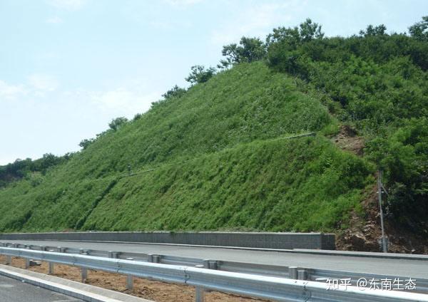 边坡客土喷播绿化植草技术