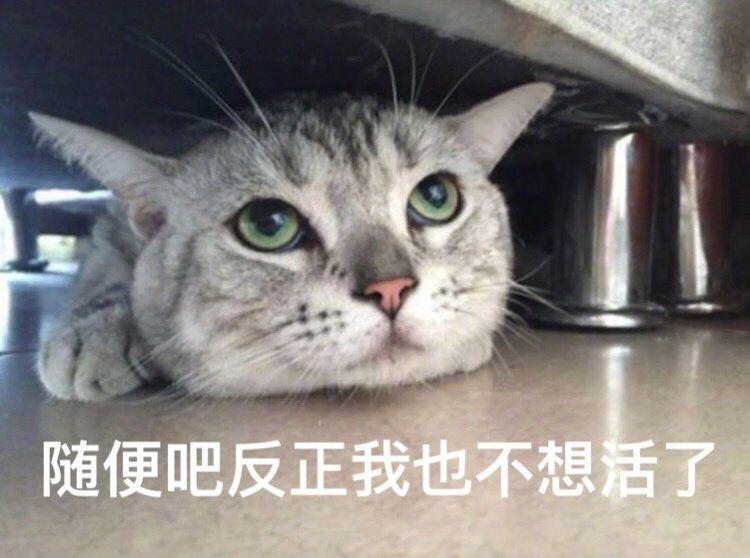 嗯嗯表示啥意思 v2-3e0bd68955842637fe278fef98915f63_r.jpg