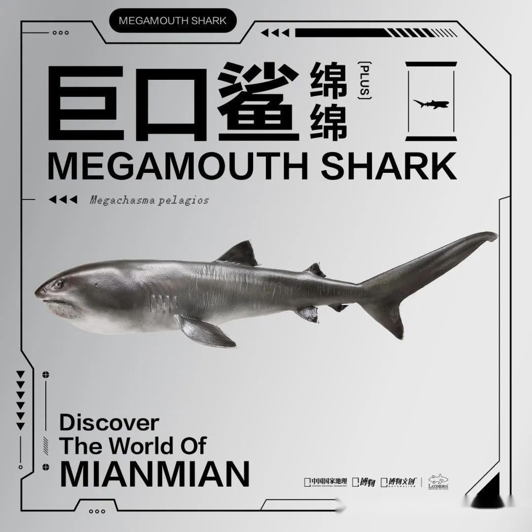 卵生、胎生、卵胎生？我绕晕了...你呢？ - 知乎