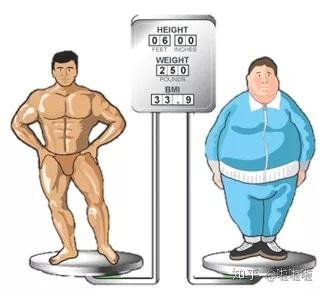 健身第一课 计算bmi 基础代谢率 体脂率 身材围度 知乎