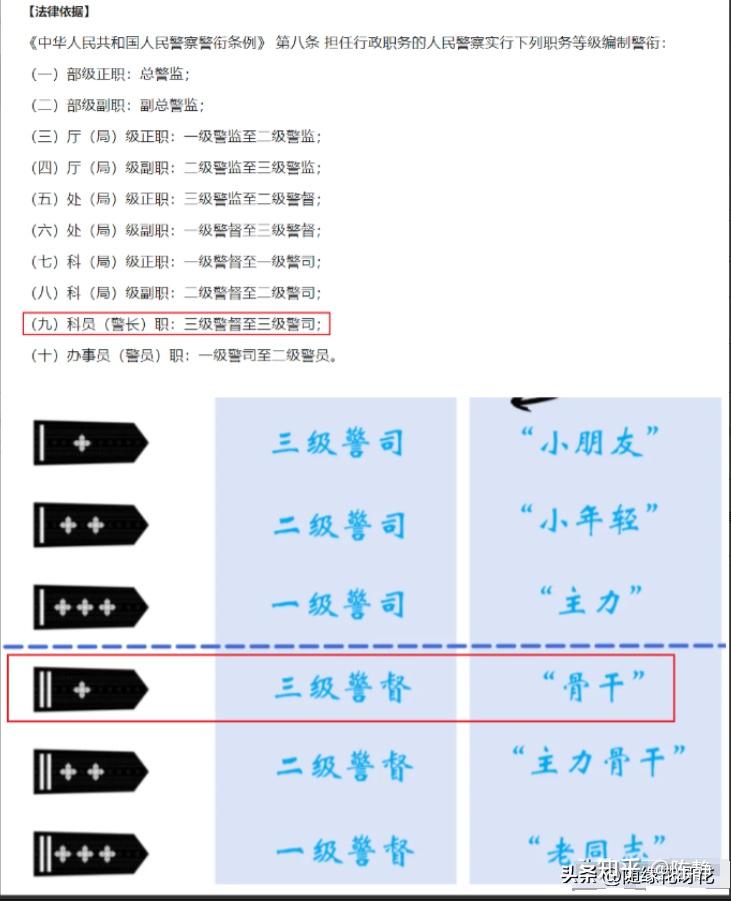 动真格了!浙江交警锁喉式执法后续:交警级别挺高,处理结果公布