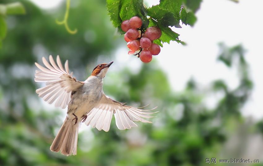 v2-3e186f8c83920a5957bc6d6d1d08ec62_1440w.jpg?source=172ae18b