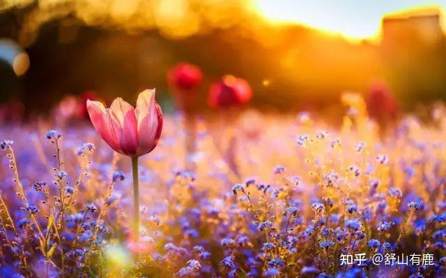 “静而不争,祸去福来”:你的静气,符合天意,终究渡你一生 - 知乎