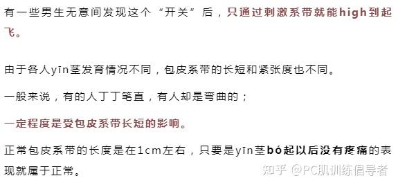 包皮系带是什么?